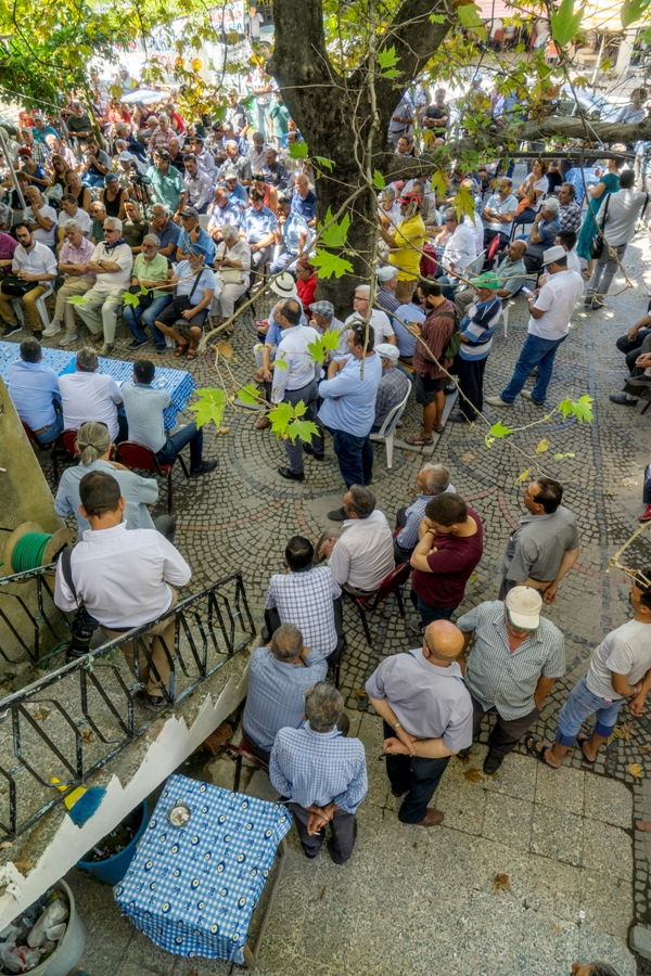 Fotoğraf: Yücel Tunca