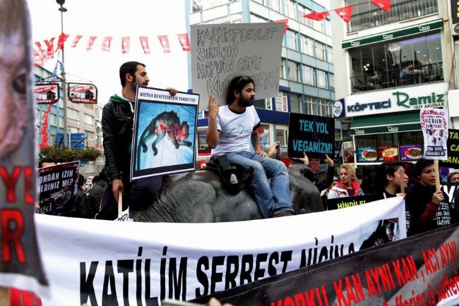Fotoğraf: Yücel Kurşun