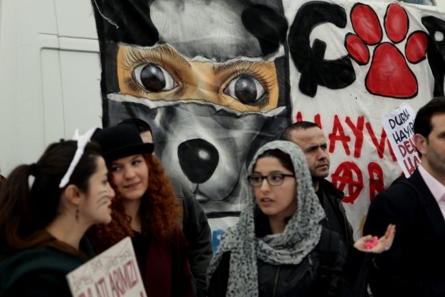 Fotoğraf: Yücel Kurşun