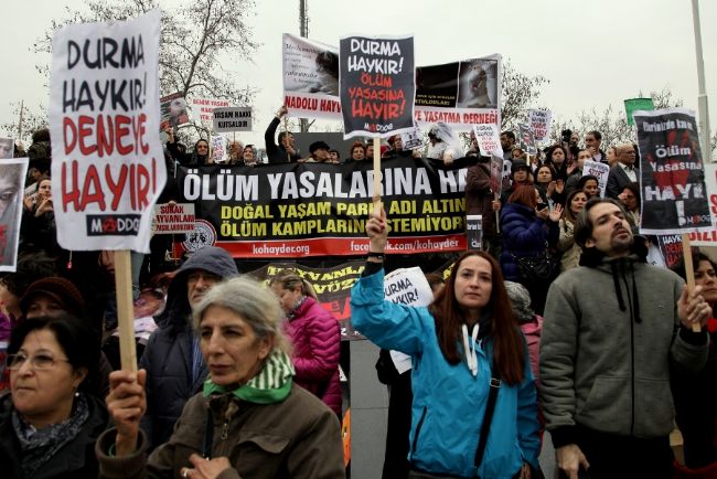 Fotoğraf: Yücel Kurşun