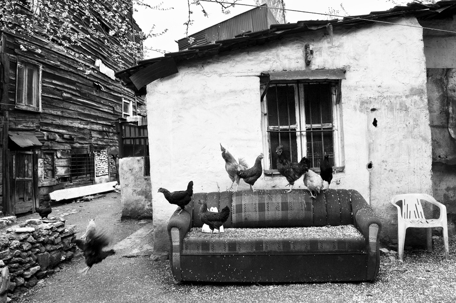 Toklu Dede Mahallesi, sadece ahşap evleriyle değil, sakinlerinin yaşam biçimiyle de geleneksel mahalle özelliklerini günümüze dek sürdürmüş İstanbul’un nadir mahallelerinden biriydi.