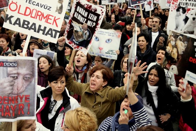Fotoğraf: Yücel Kurşun