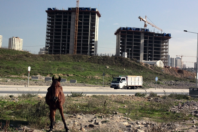 Barbaros Mahallesi'nde yaşayan insanların bahçelerinde yıllardır besledikleri hayvanlarına artık yer kalmayacak gibi.